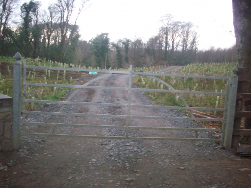 farm Gates and railings